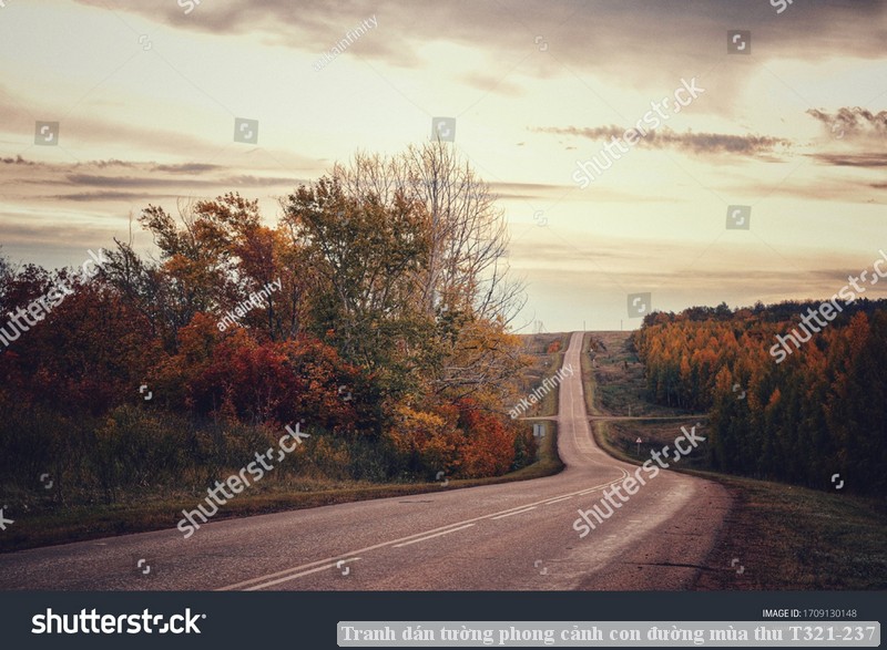 Tranh dán tường phong cảnh hồ thác, cây cối T321-517